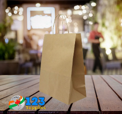 PAPER BAGS WITH HANDLES - KRAFT 10 x 5 x 13" (10)