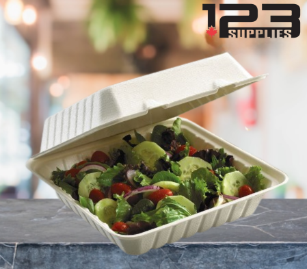 SUGARCANE BIODEGRADABLE CONTAINERS - 9 x 9 x 3 (50)