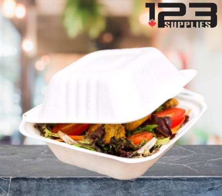 SUGARCANE BIODEGRADABLE CONTAINERS - 6 x 6 x 3 (125)