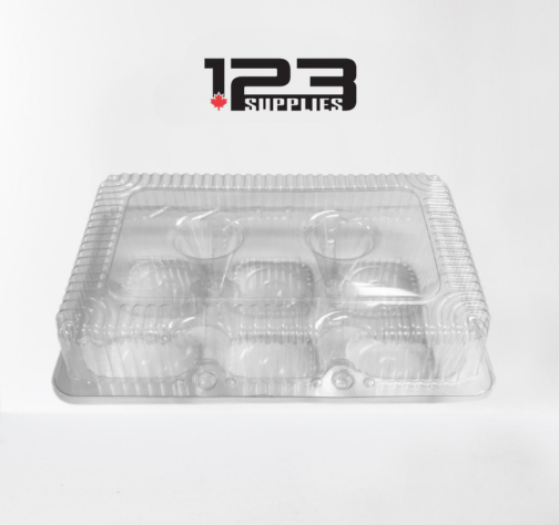 HINGED LID PLASTIC CONTAINER RECTANGULAR- 6 DESSERT SPOTS - 8 x 6 x 2.5 (25)