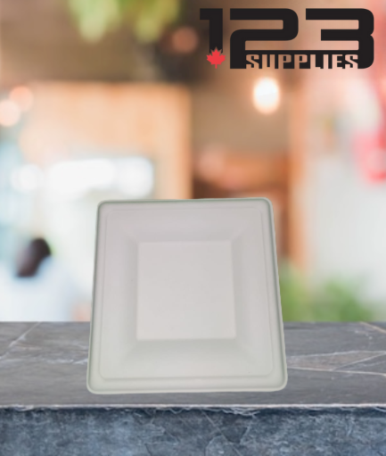 SUGARCANE PLATES SQUARE BIODEGRADABLE - 6" (100)