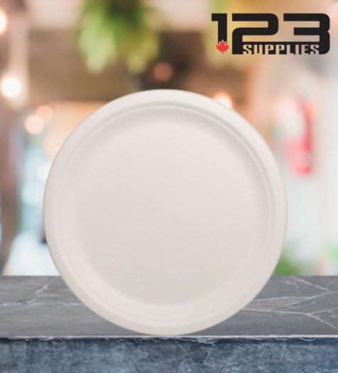SUGARCANE BIODEGRADABLE PLATES - ROUND 10" (500)