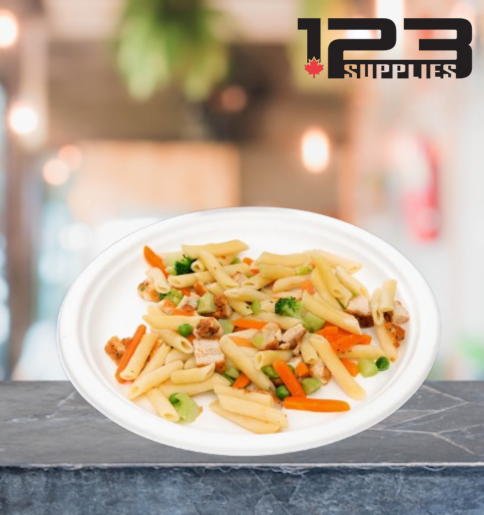 SUGARCANE BIODEGRADABLE PLATES - ROUND 10" (500)