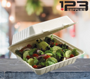 SUGARCANE BIODEGRADABLE CONTAINERS - 9 x 9 x 3 (200)