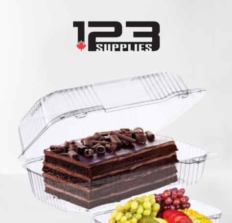 HINGED LID PLASTIC CONTAINER RECTANGULAR - 8 x 5.75 x 2.5 (500)