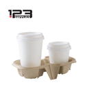 CARRY TRAY 2 CUP - (100)