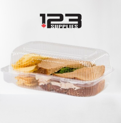 HINGED LID PLASTIC CONTAINER RECTANGULAR - 7 X 5 X 2 (25)