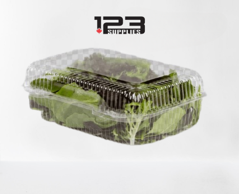 HINGED LID PLASTIC CONTAINER RECTANGULAR - 8 x 6 x 3 (500)