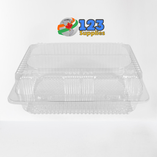 HINGED LID PLASTIC CONTAINER RECTANGULAR - 9 X 6 X 3 (400)
