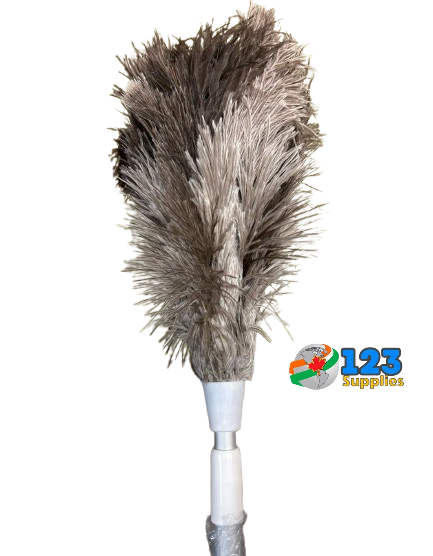 DUSTER - EXTENDABLE HANDLE