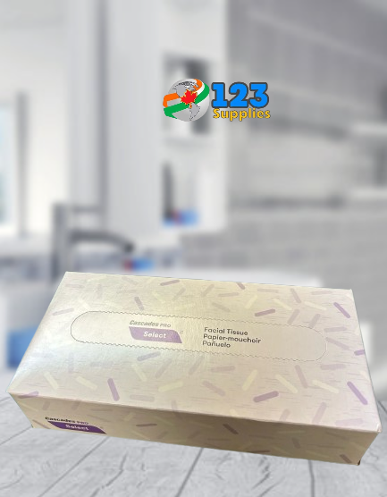 FACIAL TISSUE BOX (100 SHEETS)