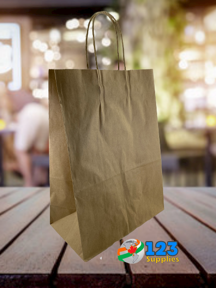 PAPER BAGS WITH HANDLES - KRAFT 9.75 x 6 x 16.75" (10)