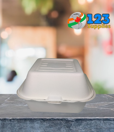 SUGARCANE BIODEGRADABLE CONTAINERS - 6 x 6 x 3 (100)
