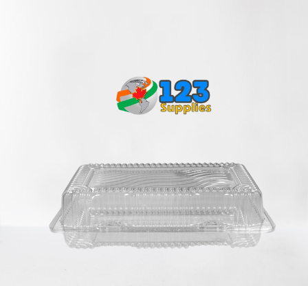 HINGED LID PLASTIC CONTAINER RECTANGULAR - 8 x 6 x 3 (25)