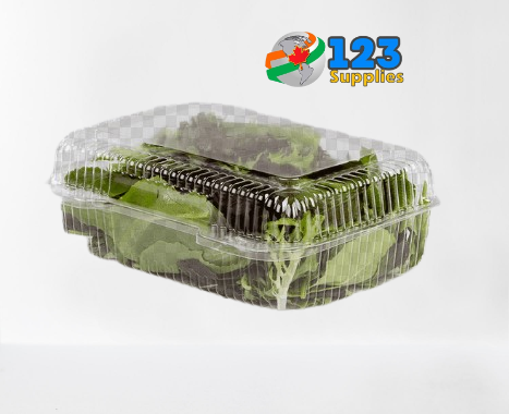 HINGED LID PLASTIC CONTAINER RECTANGULAR - 8 x 6 x 3 (25)