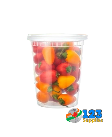 PLASTIC DELI CONTAINER COMBO (with lid) - 24 OZ DYNASTY (240)